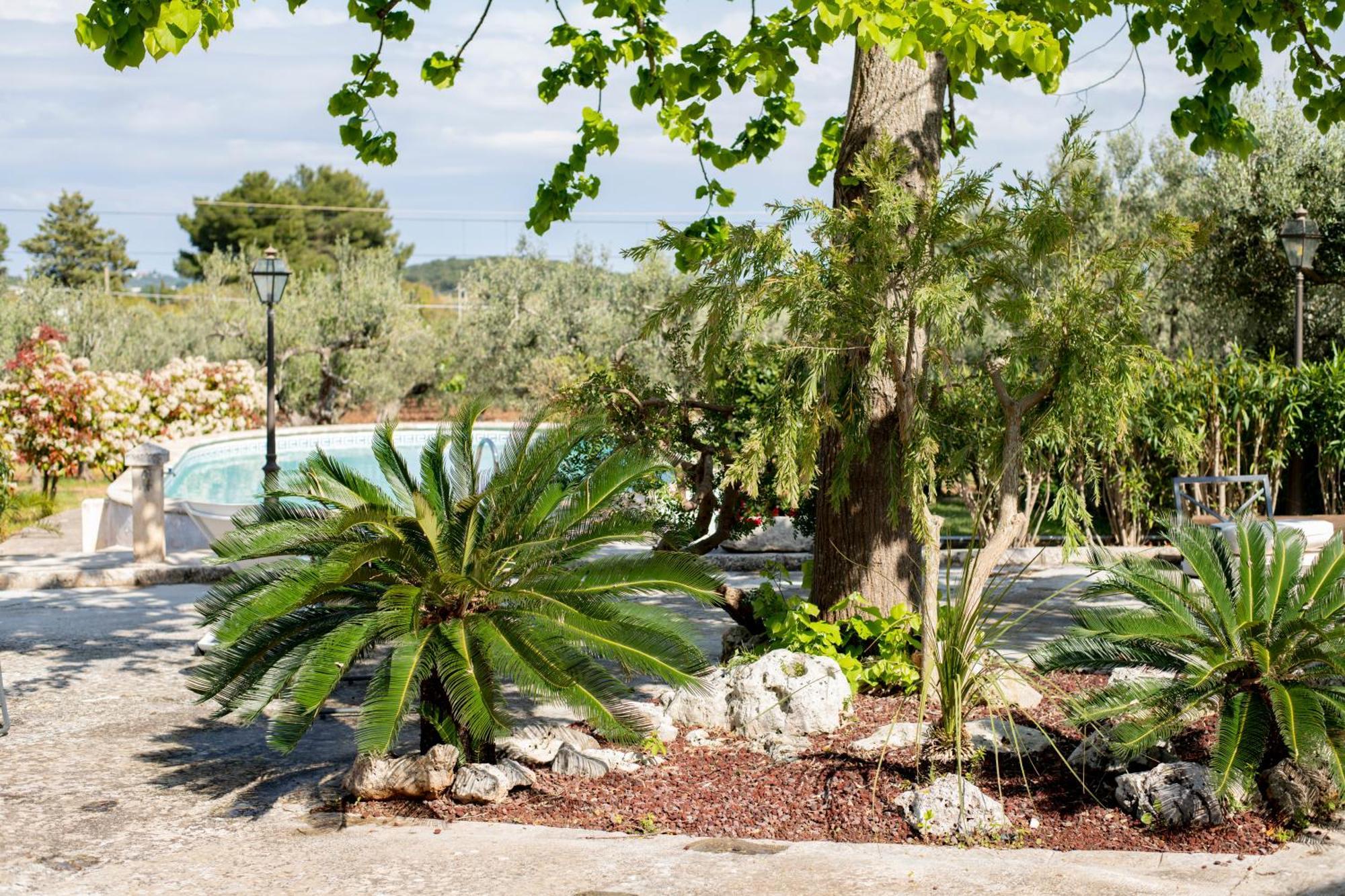 Masseria Trulli Bruni Locorotondo Bagian luar foto
